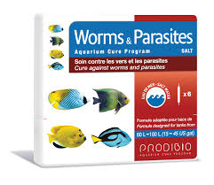 Prodibio Worms a Parasites 6 amp