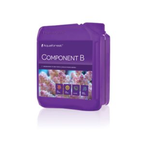 AF-Component B 2 L