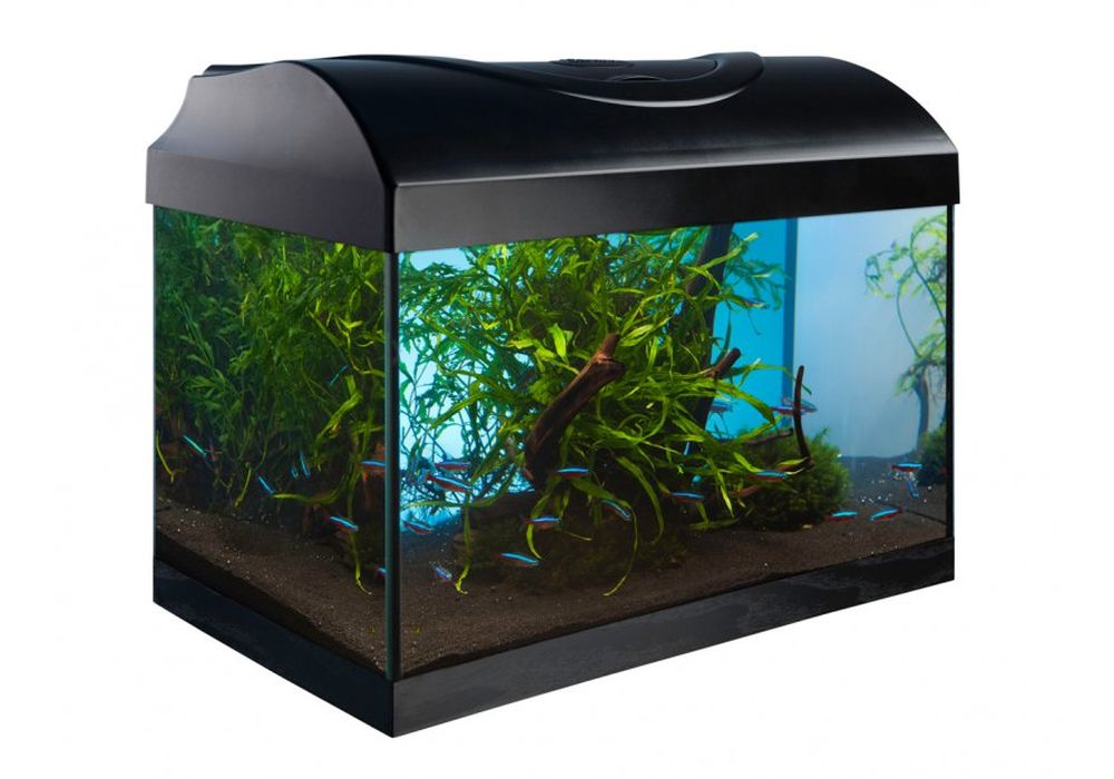 Diversa startup akvarijni set 60 černý LED EXPERT