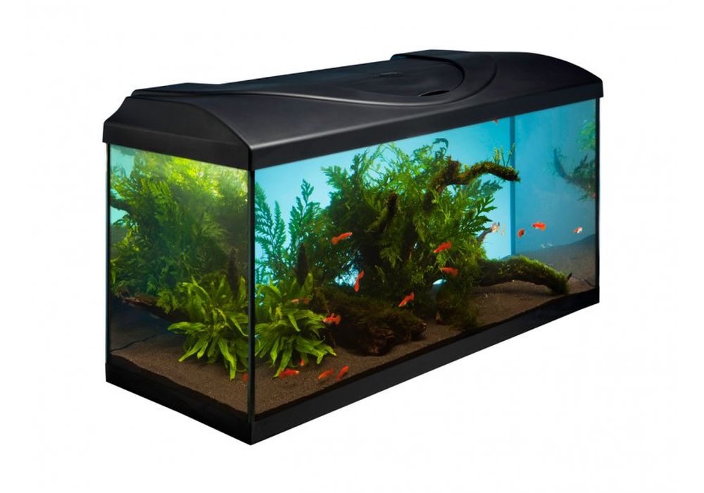 Diversa startup akvarijní set 80 černý LED EXPERT
