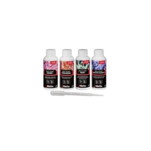Coral Colors A B C D 100ml 4-pack