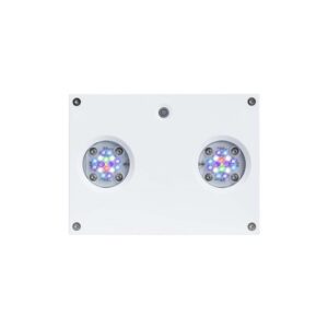 HYDRA 32 HD akvarijní osvětlení 32-LED bílá